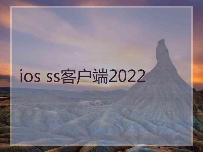 ios ss客户端2022