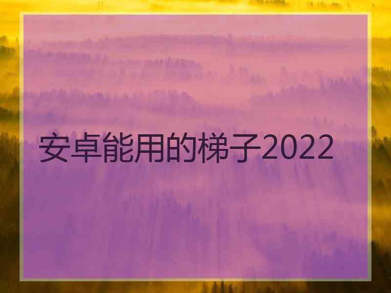 安卓能用的梯子2022