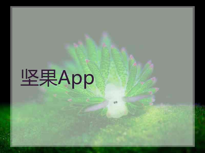 坚果App