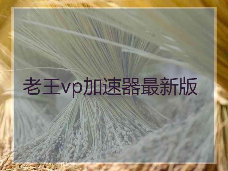 老王vp加速器最新版