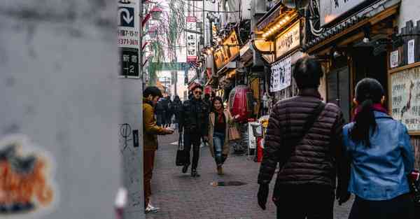 上外国的网站东西加速软件