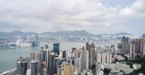 永久免费梯子