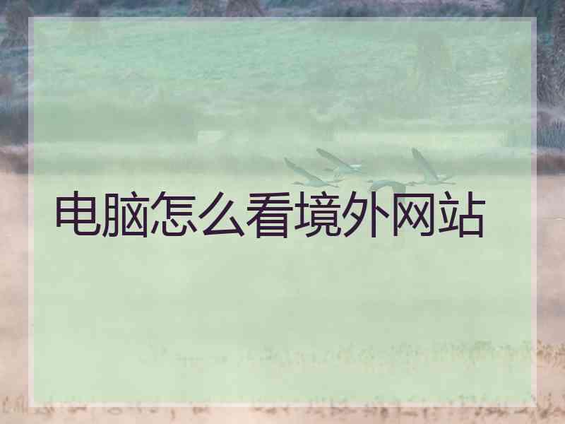 电脑怎么看境外网站