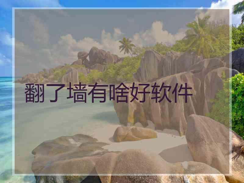 翻了墙有啥好软件
