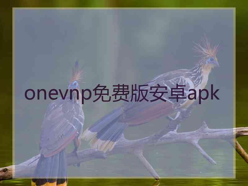 onevnp免费版安卓apk