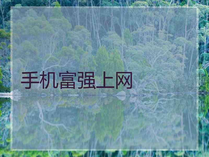 手机富强上网