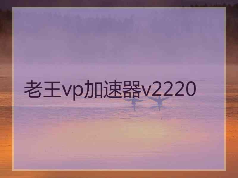 老王vp加速器v2220