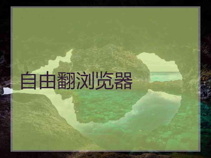 自由翻浏览器