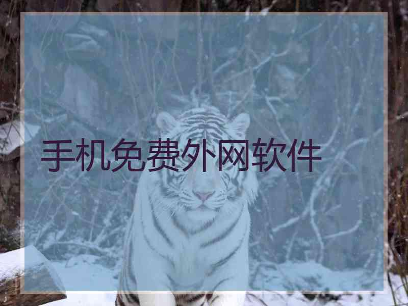 手机免费外网软件