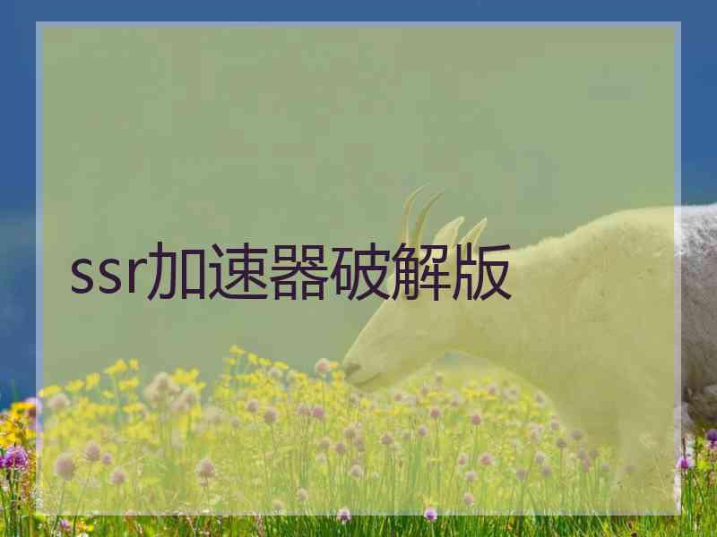 ssr加速器破解版