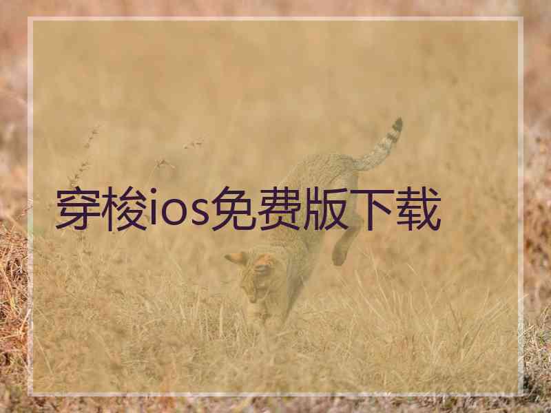 穿梭ios免费版下载