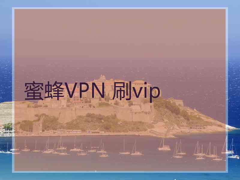蜜蜂VPN 刷vip