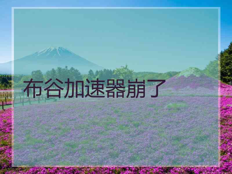 布谷加速器崩了