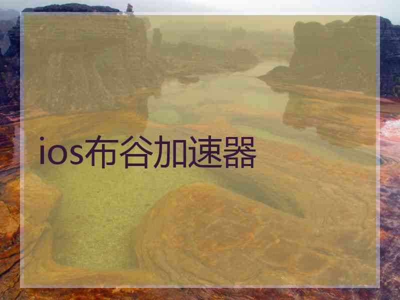 ios布谷加速器