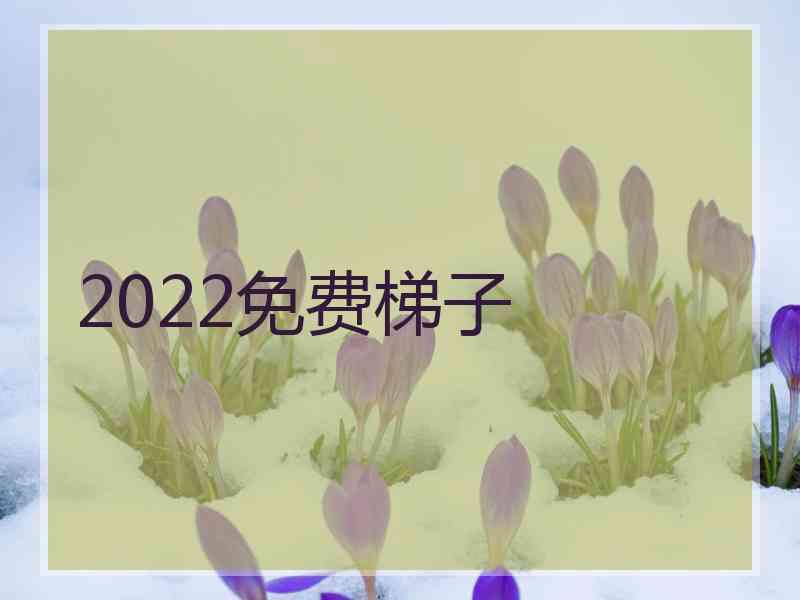 2022免费梯子