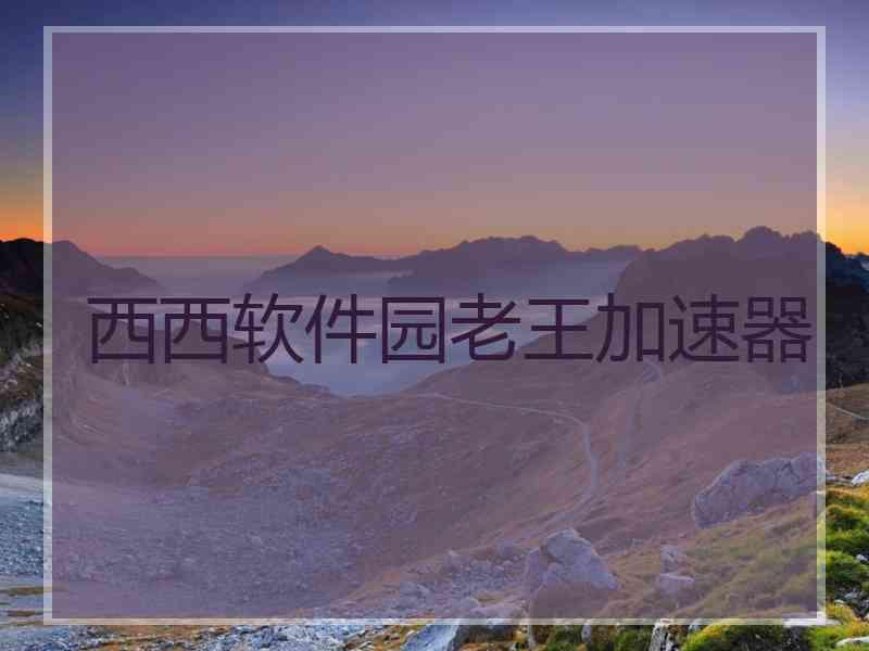 西西软件园老王加速器