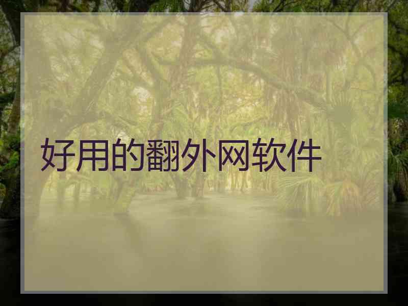 好用的翻外网软件