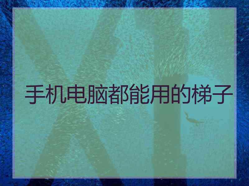 手机电脑都能用的梯子