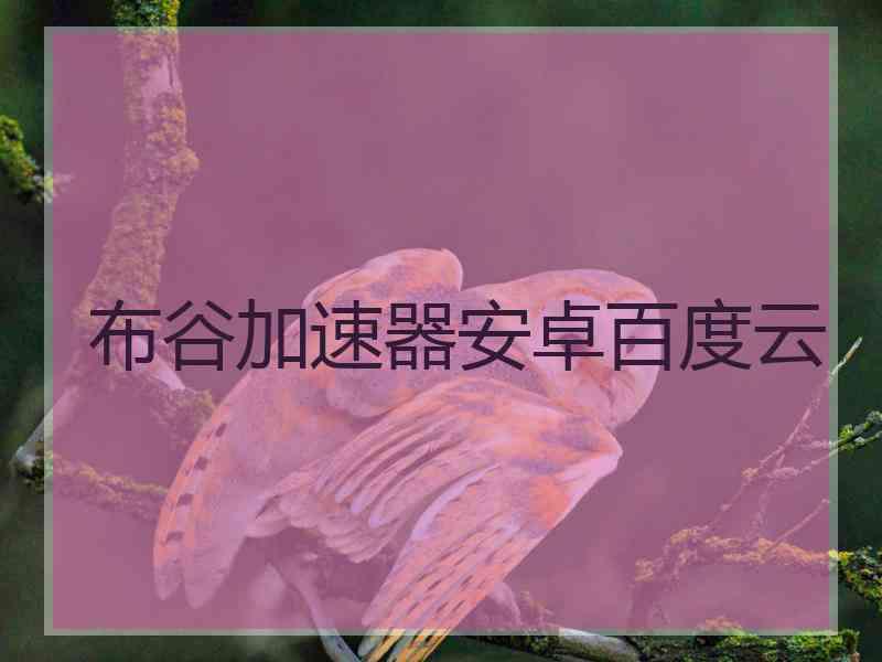 布谷加速器安卓百度云