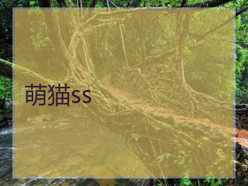萌猫ss