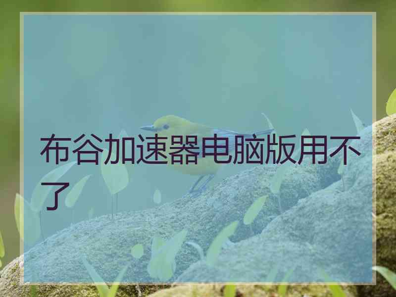 布谷加速器电脑版用不了