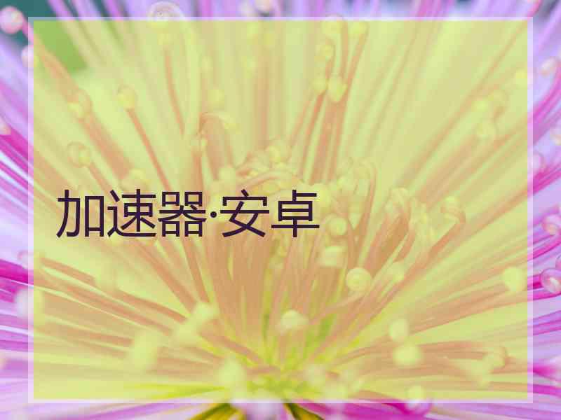 加速器·安卓