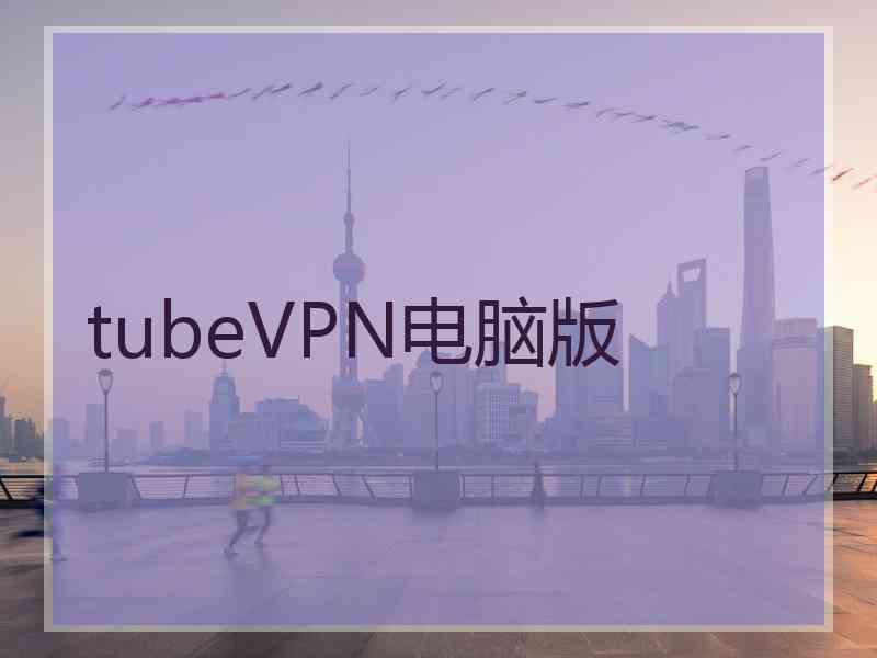 tubeVPN电脑版