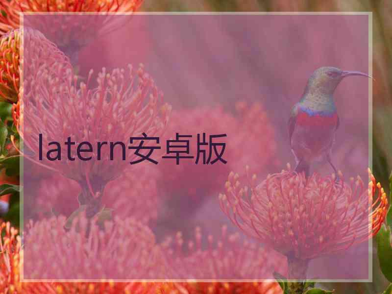 latern安卓版
