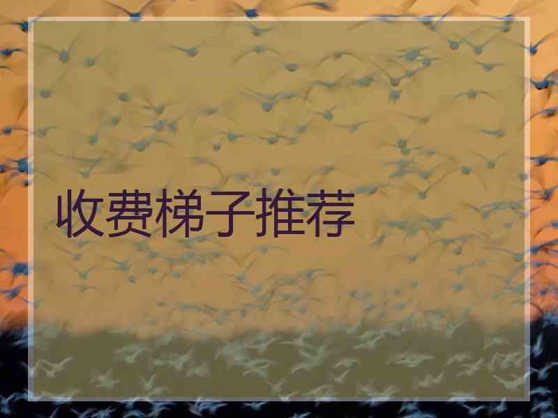 收费梯子推荐