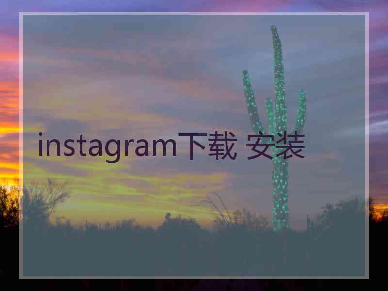 instagram下载 安装