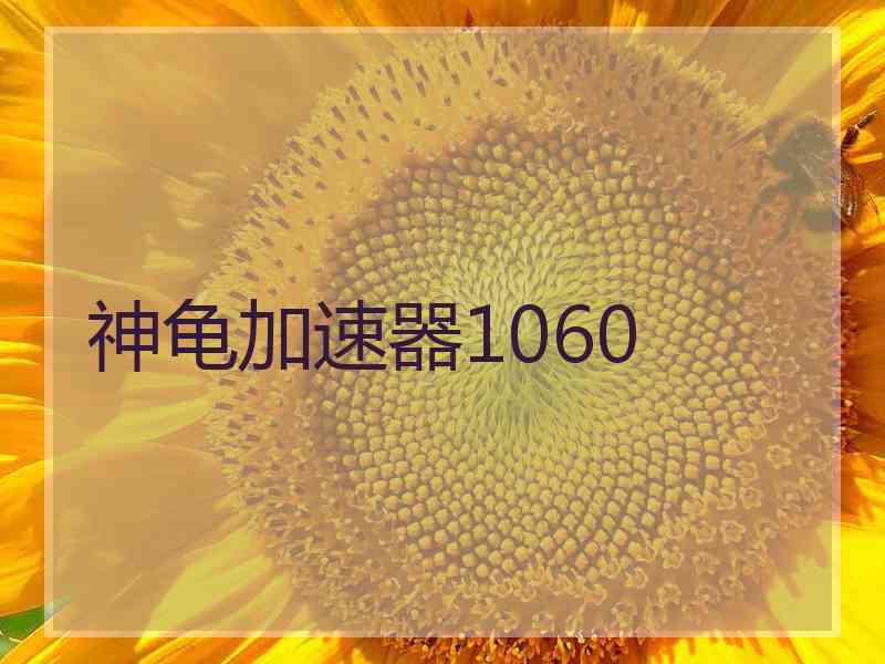 神龟加速器1060