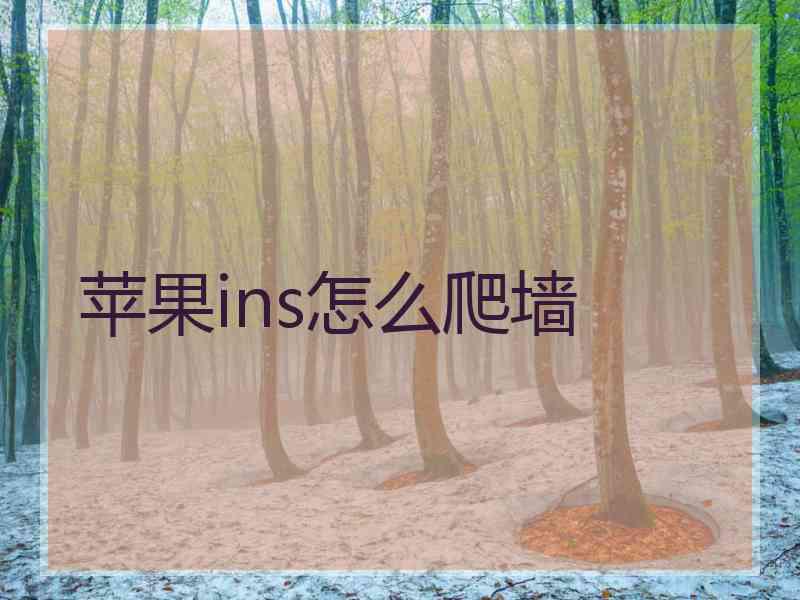 苹果ins怎么爬墙