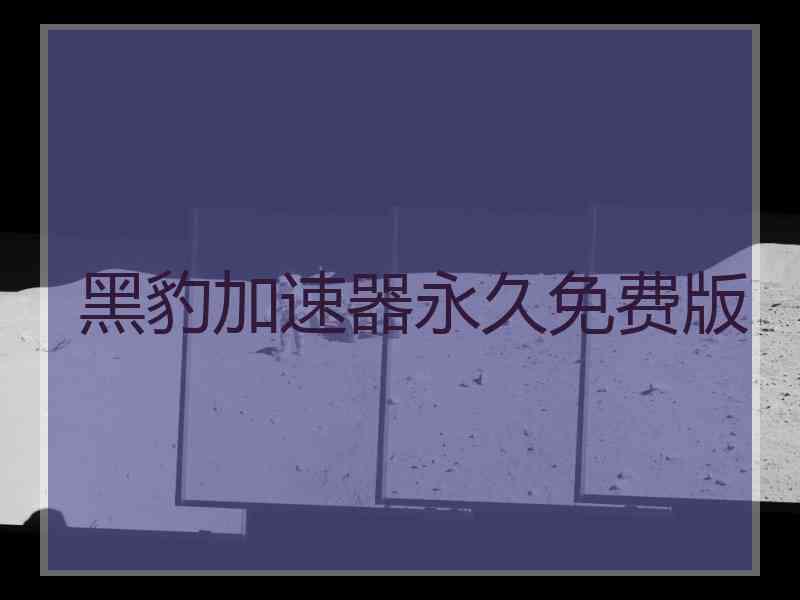 黑豹加速器永久免费版