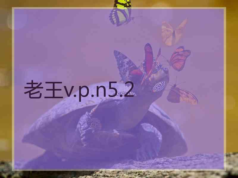 老王v.p.n5.2