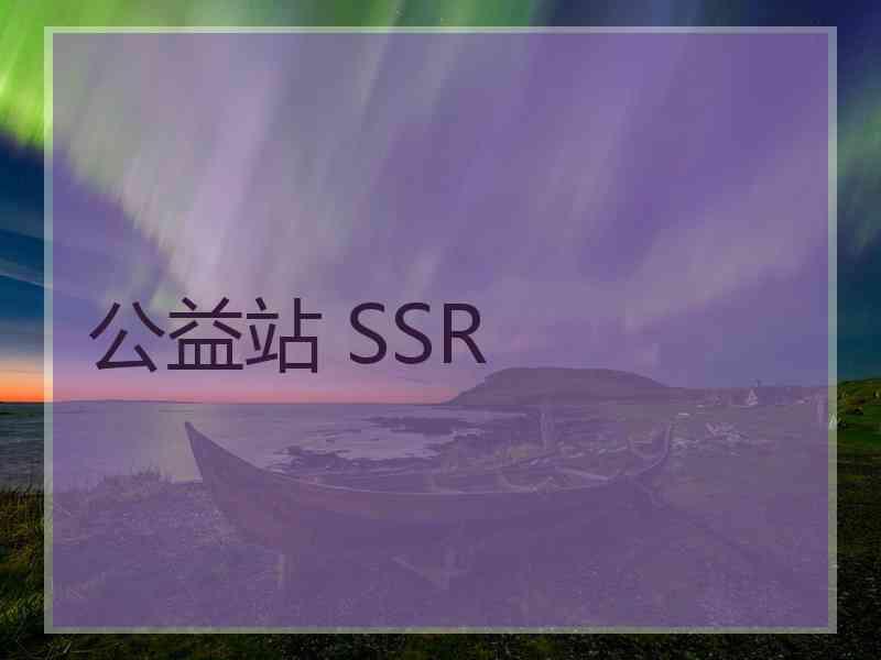 公益站 SSR