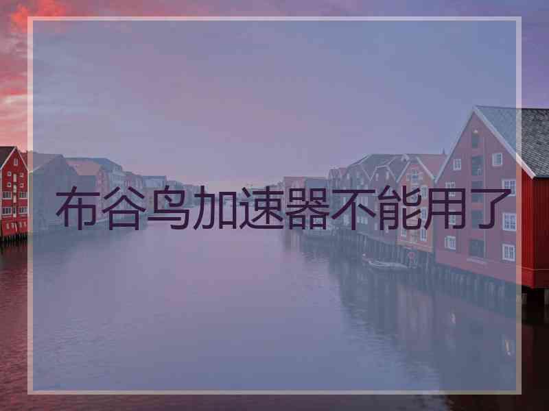 布谷鸟加速器不能用了