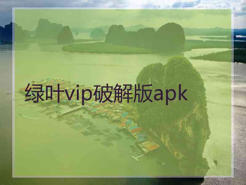 绿叶vip破解版apk