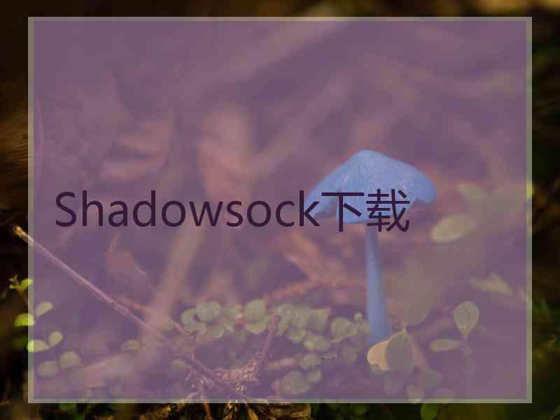 Shadowsock下载