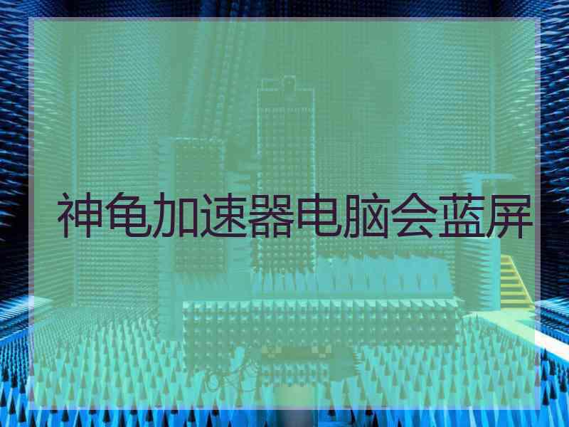神龟加速器电脑会蓝屏
