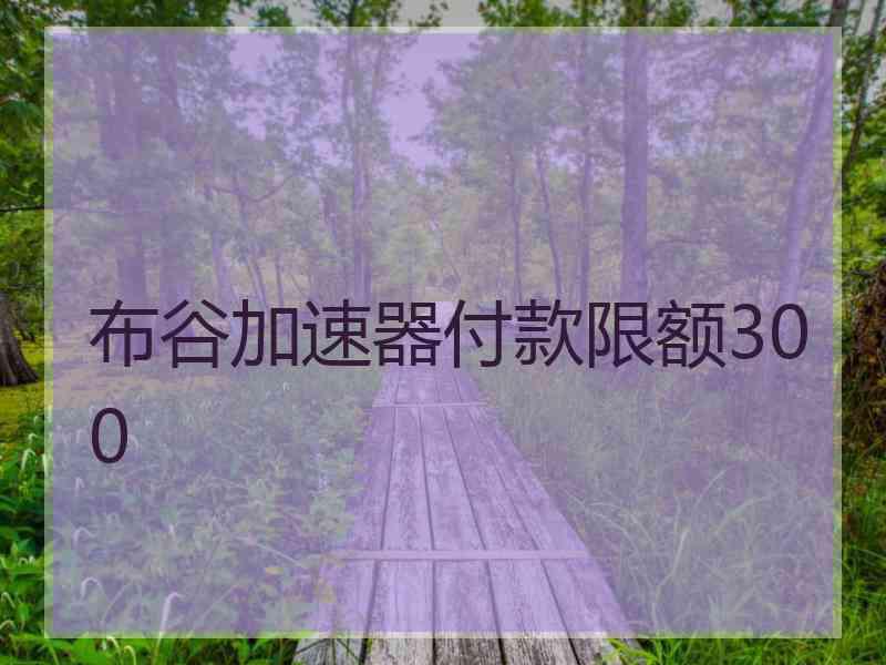 布谷加速器付款限额300
