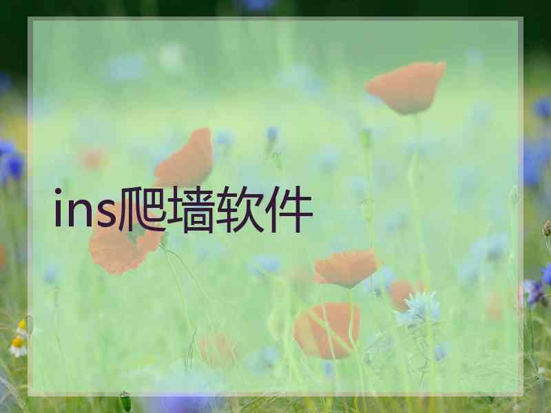 ins爬墙软件