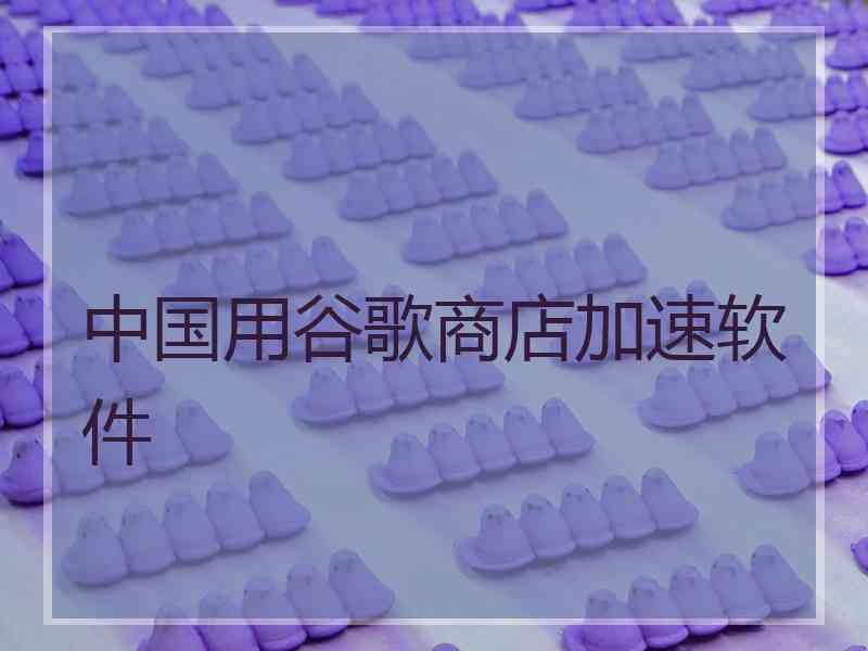 中国用谷歌商店加速软件