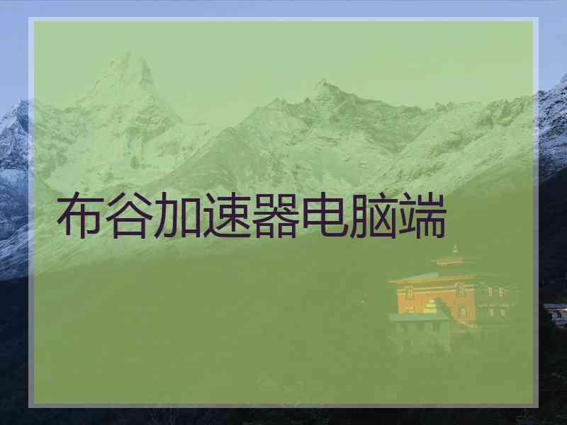 布谷加速器电脑端