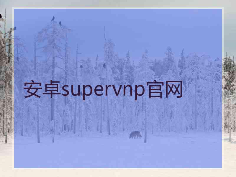 安卓supervnp官网