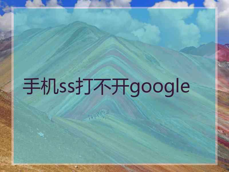 手机ss打不开google