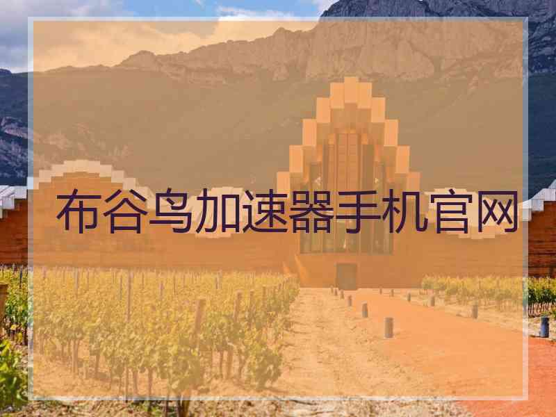 布谷鸟加速器手机官网