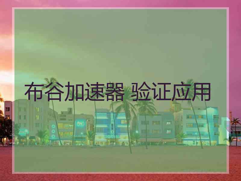 布谷加速器 验证应用