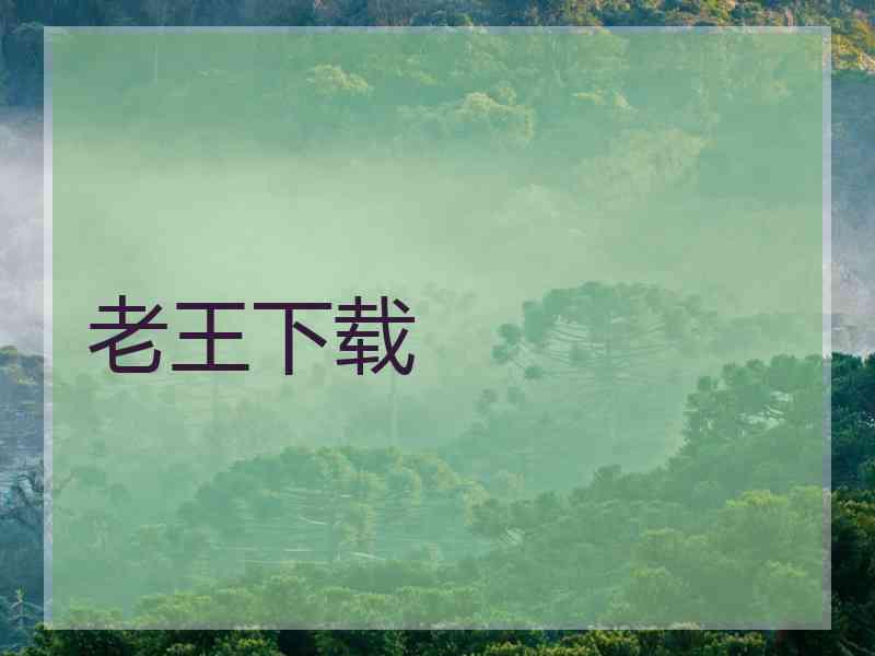 老王下载