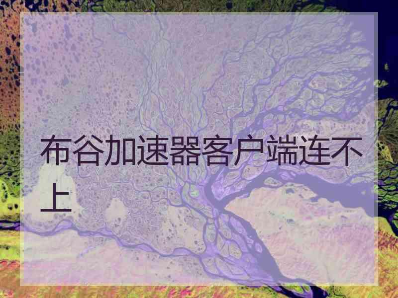 布谷加速器客户端连不上