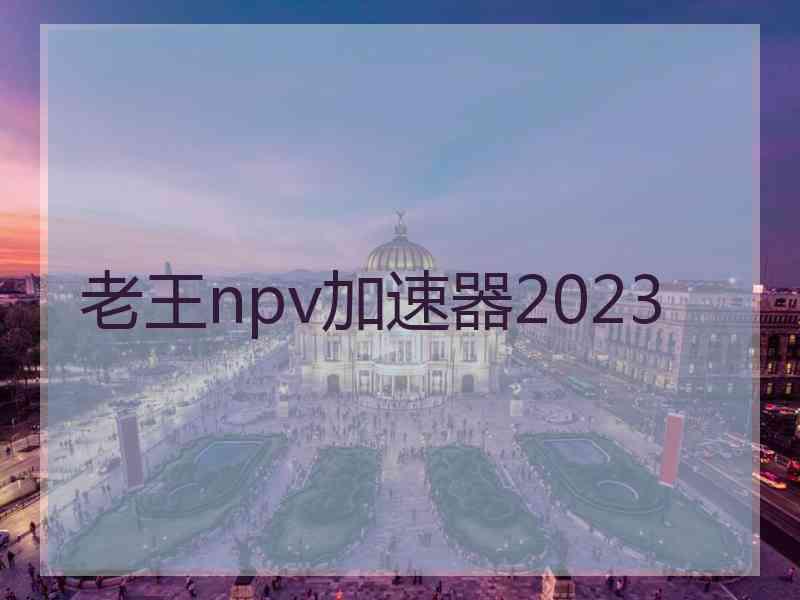 老王npv加速器2023